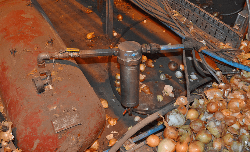 Vegetable farm solves condensation problem without the need for costly dewpoint suppression